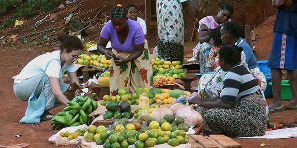 Contrôles de conteneurs : aliments en état de putréfaction