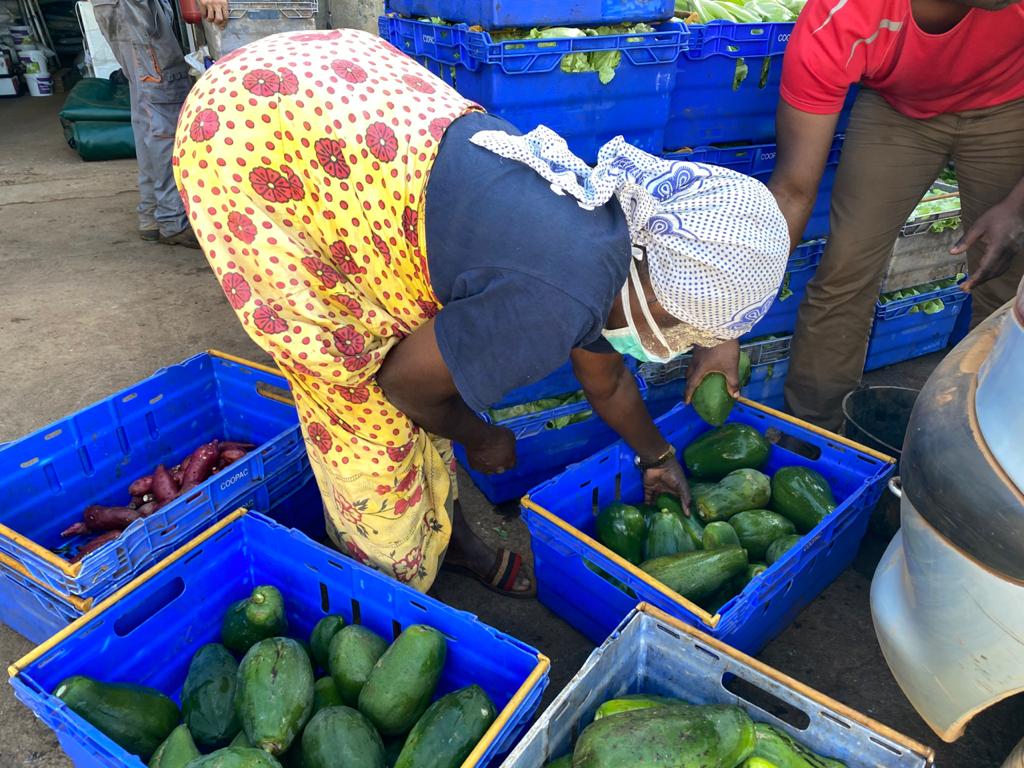 Les professionnels de l’agriculture réclament la sécurité dans leurs activités