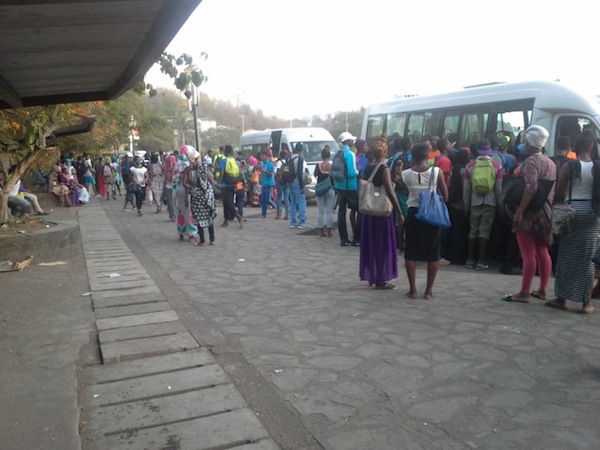 Transports scolaires : les chauffeurs se serrent la ceinture