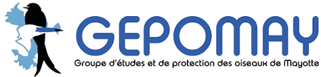 le Gepomay demande la création d’un centre de soins pour les oiseaux