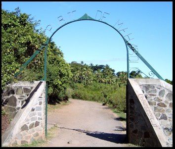 Top départ pour la valorisation de la mangrove de M’gombani
