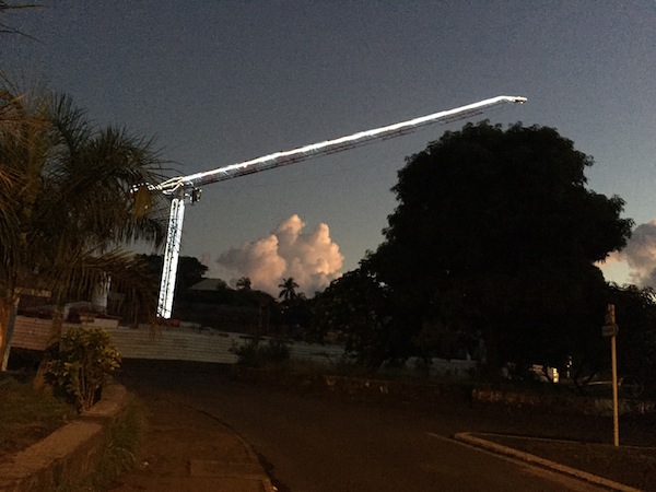 Une grue de Noël au Baobab