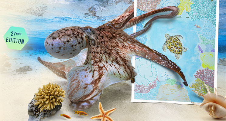 La 27ème édition du Festival de l’image sous-marine est lancée