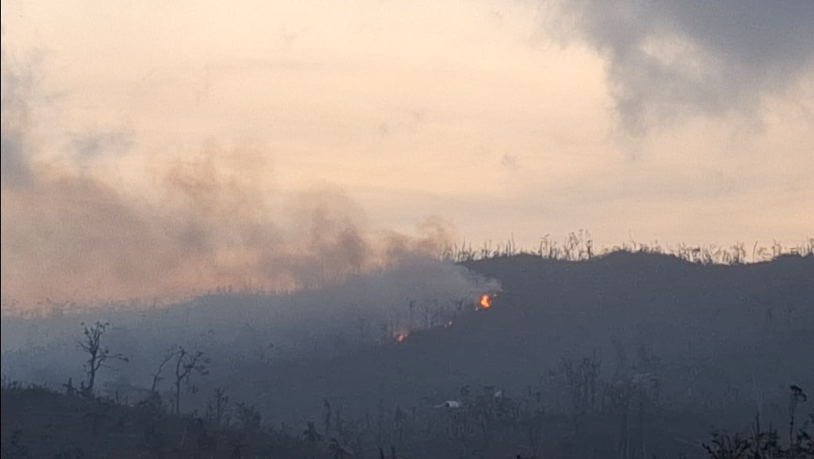 Mayotte confrontées aux feux de forêt : l’incendie gagne du terrain à Vahibé (vidéo)