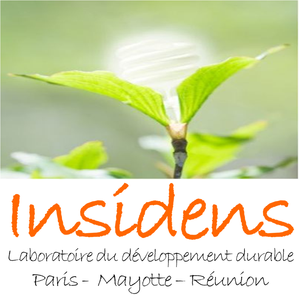 Insidens lance deux nouvelles formations!