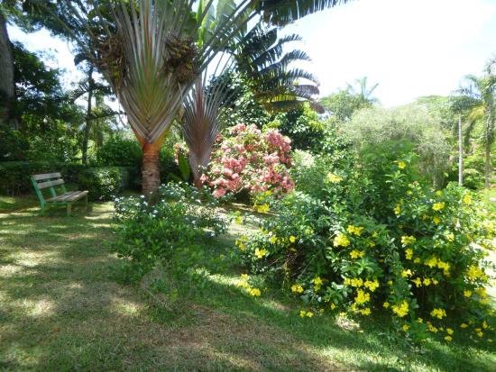 Le musée des senteurs de Coconi ouvre ses portes en novembre