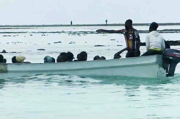 Mayotte possède enfin son observatoire de l’immigration