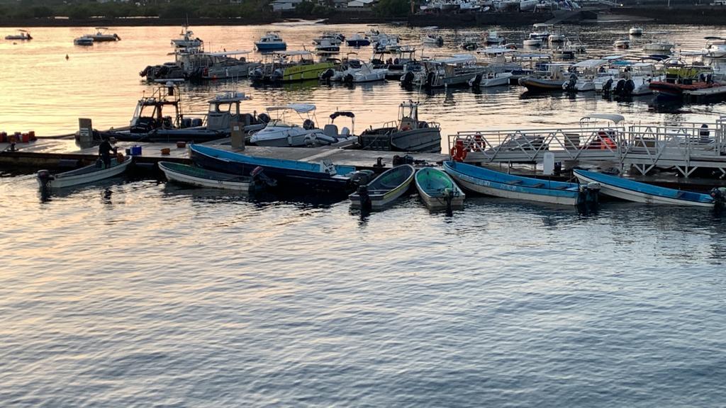 2 pilotes de kwassas sous les verrous