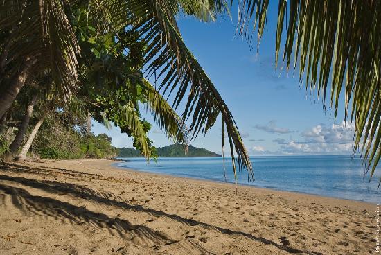 N’gouja : des familles dépouillées