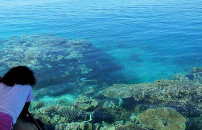 Les p’tits foundis du lagon reviennent : appel à projets pédagogiques ouvert