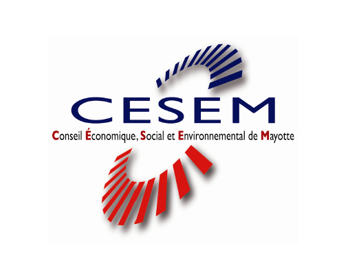 Assemblée plénière du CESEM