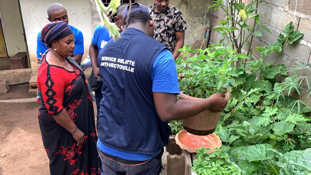 L’ARS informe qu’un second cas de chikungunya a été identifié à Mayotte