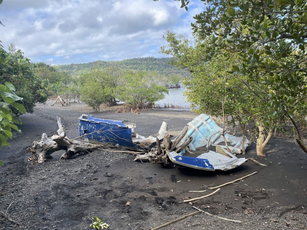 mangrove kwassas dapani. IMG 2984 scaled 1