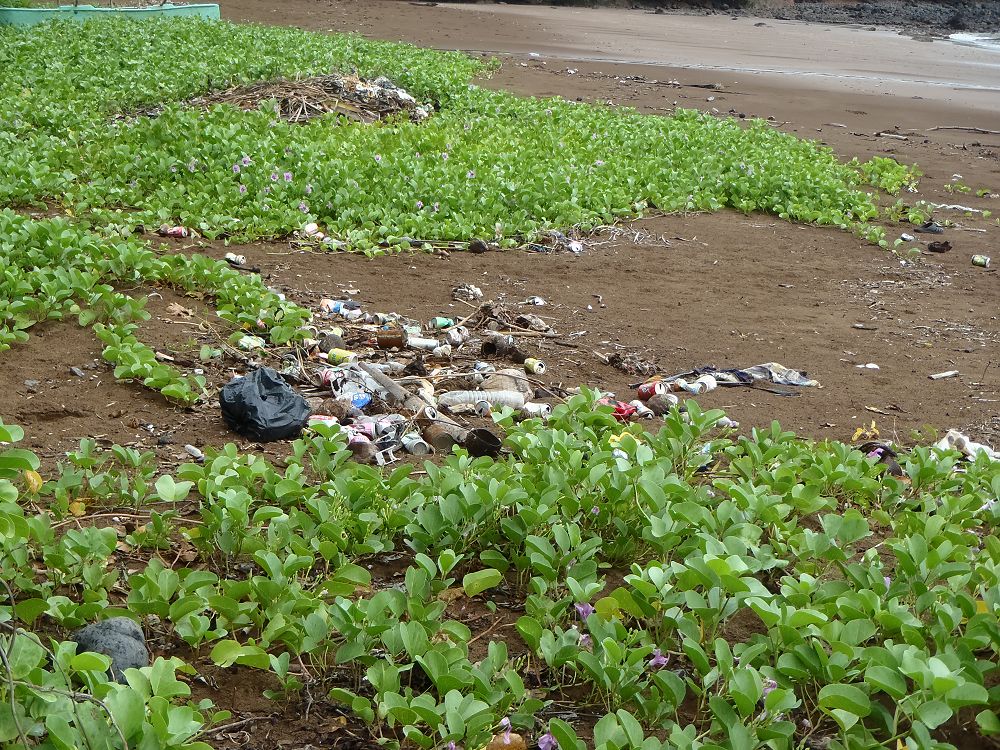 La Communauté de Communes de Petite-Terre appelle au civisme