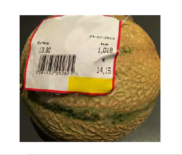 Un melon à prix d’or