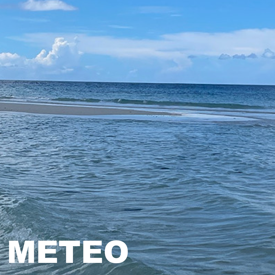 Une journée pour les lunettes et les chapeaux