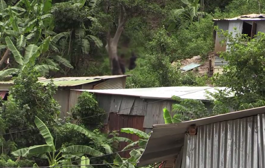 Les meutriers présumés localisés