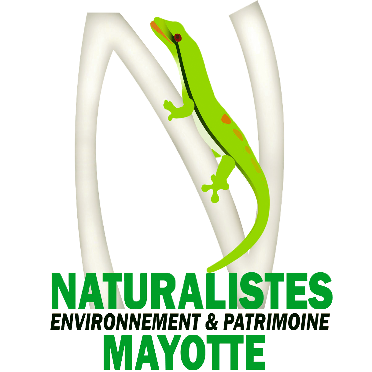 Conférence de presse : l’Association des Naturalistes de Mayotte