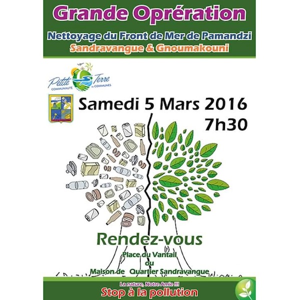 Opération nettoyage à Pamandzi