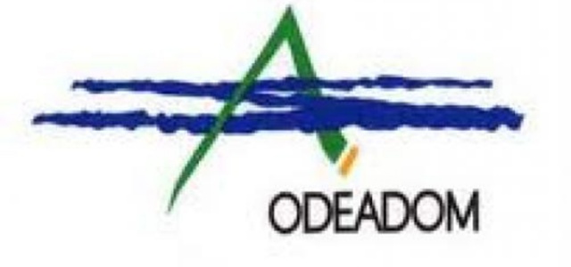 Aides au développement des exploitations agricoles