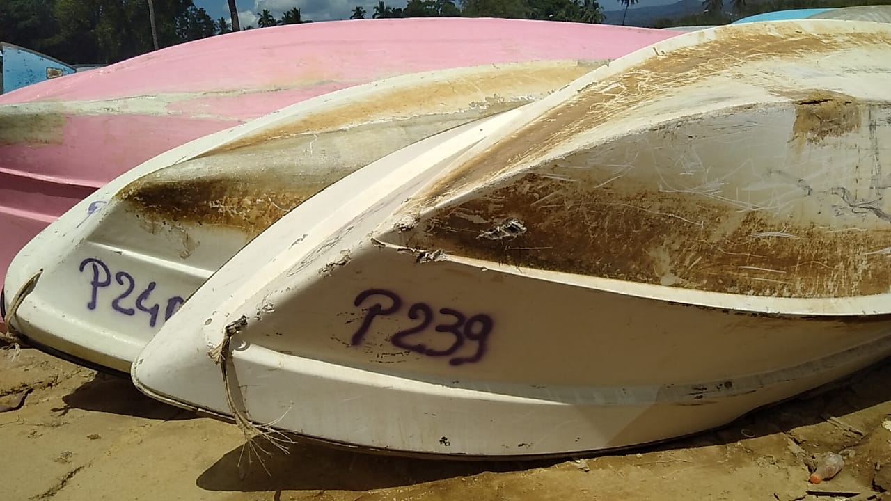 Démantèlement d’un chantier illégal de pirogues  : une victoire pour la lutte contre l’immigration clandestine