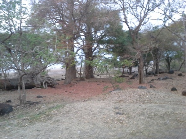 De nouveaux ossements mis à jour à Sakouli