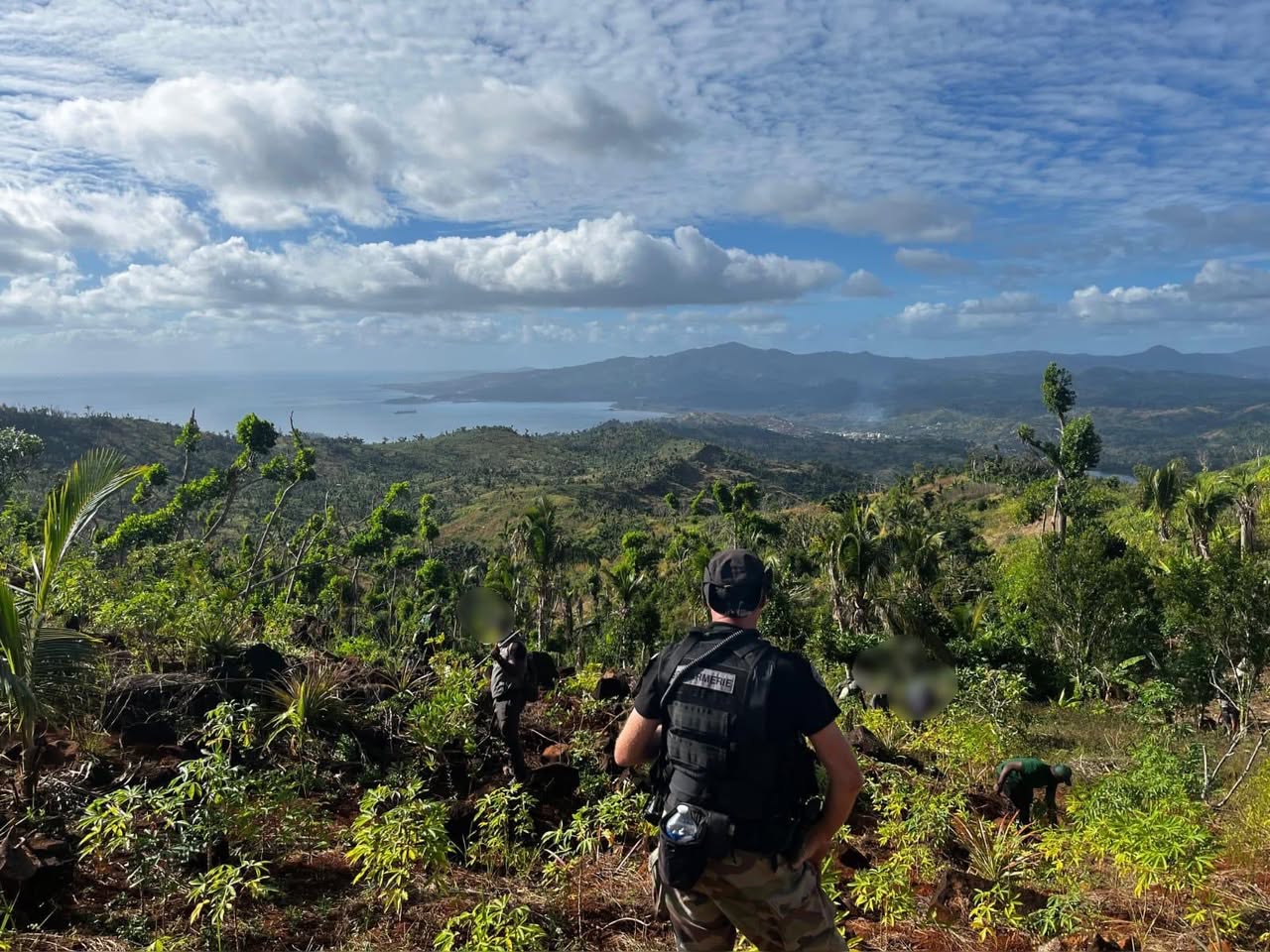 À Bandraboua, deux hectares de cultures illégales rasés pour préserver les forêts protégées de Mayotte