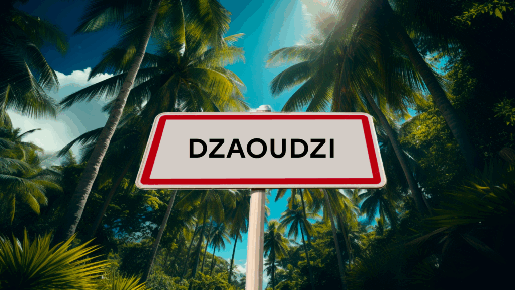 panneau. DZAOUDZI