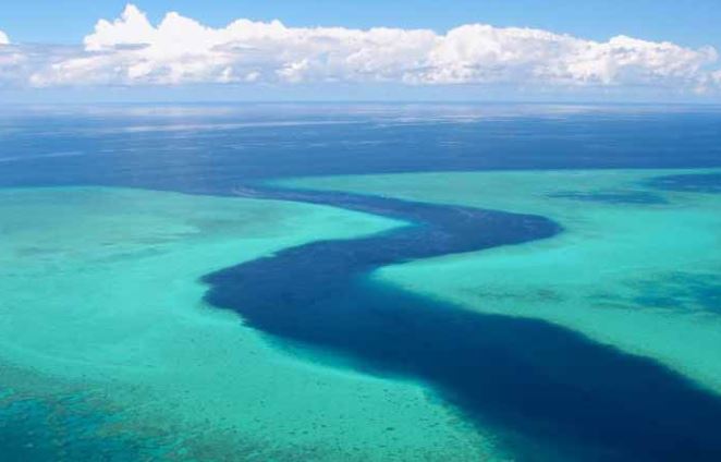 Projet d’usine de dessalement à Ironi Bé : les présidents des associations environnementalistes de Mayotte ne sont pas d’accord et le font savoir