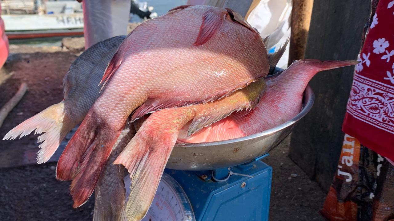 Mayotte Place Nette, c’est aussi la lutte contre l’économie informelle