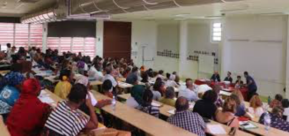 CUFR : appels à candidatures en licence professionnelle