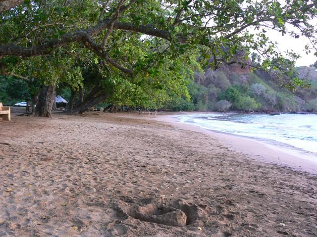 Le collectif de Mayotte s’est rencontré hier