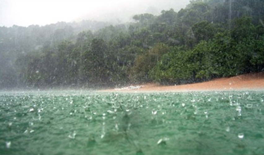 Quelle quantité de pluie est tombée aujourd’hui ?