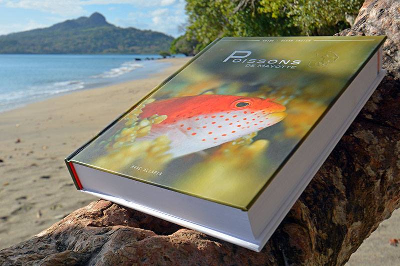 1,2 kg de poisson à découvrir