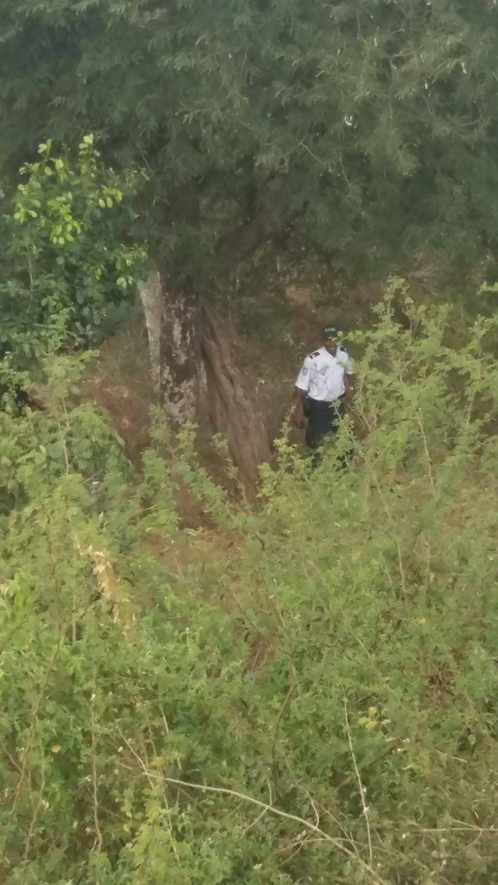Descente de la Sogéa : femme victime d’un vol