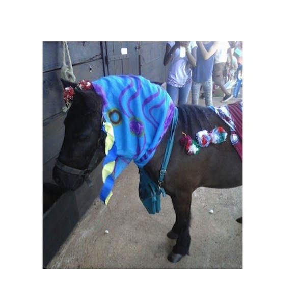 Le Centre équestre fête Halloween