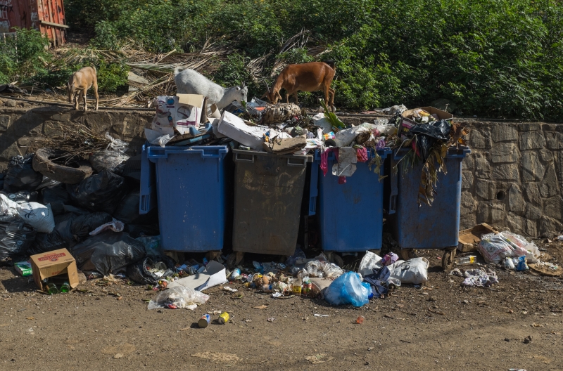 Ramassage des déchets : la mairie de Mamoudzou interpelle la CADEMA