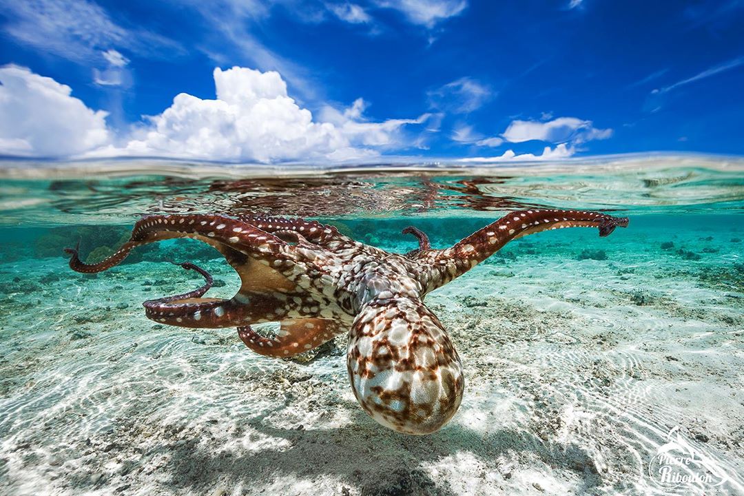 Photographie prise durant une randonnée de Mayotte Découverte