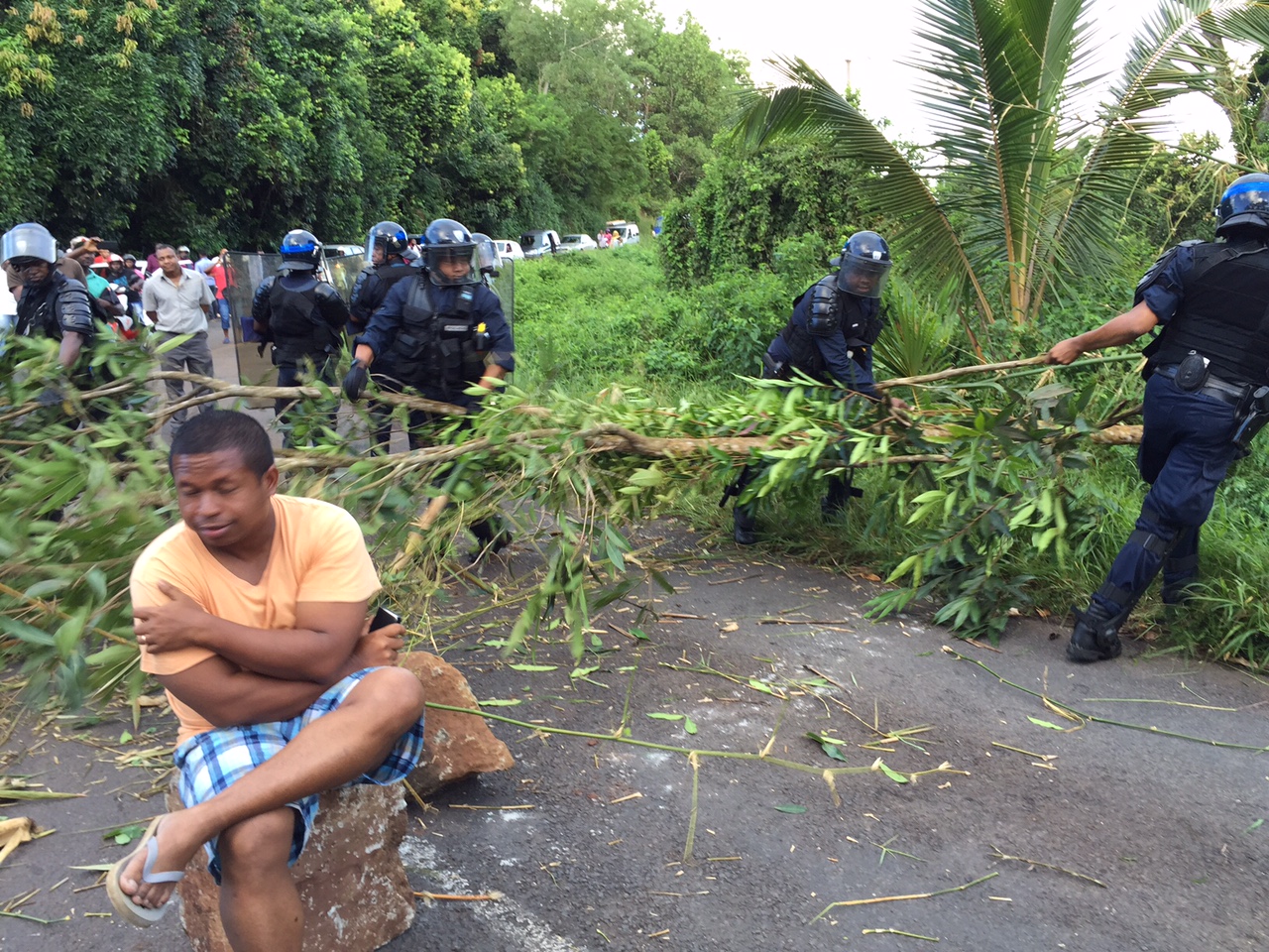 Photo du jour : Rivo sur son cailloux