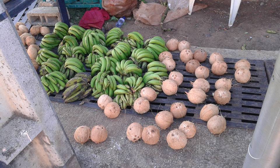 Sada en effervescence