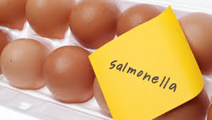 Salmonelle confirmée par la Préfecture