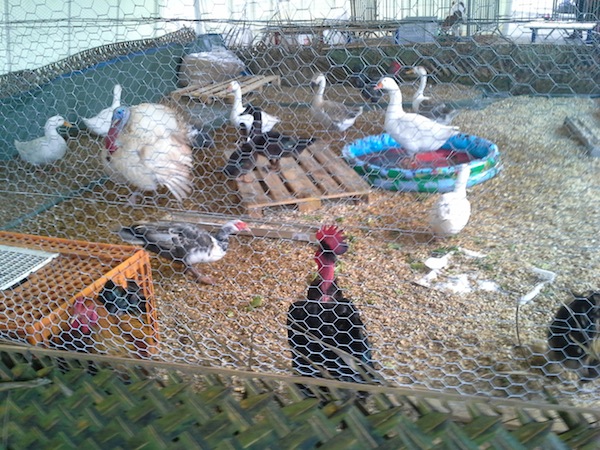 Ouverture du 4ème salon du Tourisme et des Loisirs