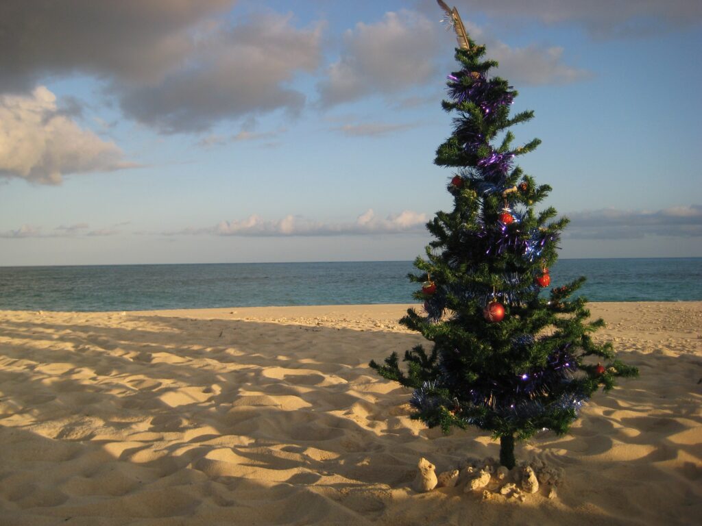 sapin noel sur plage