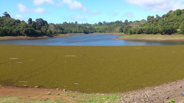 Comité sécheresse : des restrictions de distribution d’eau courante à venir si la pluie n’arrive pas