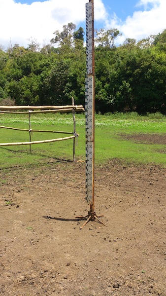 Sécheresse : les réserves d’eau à leur plus bas niveau