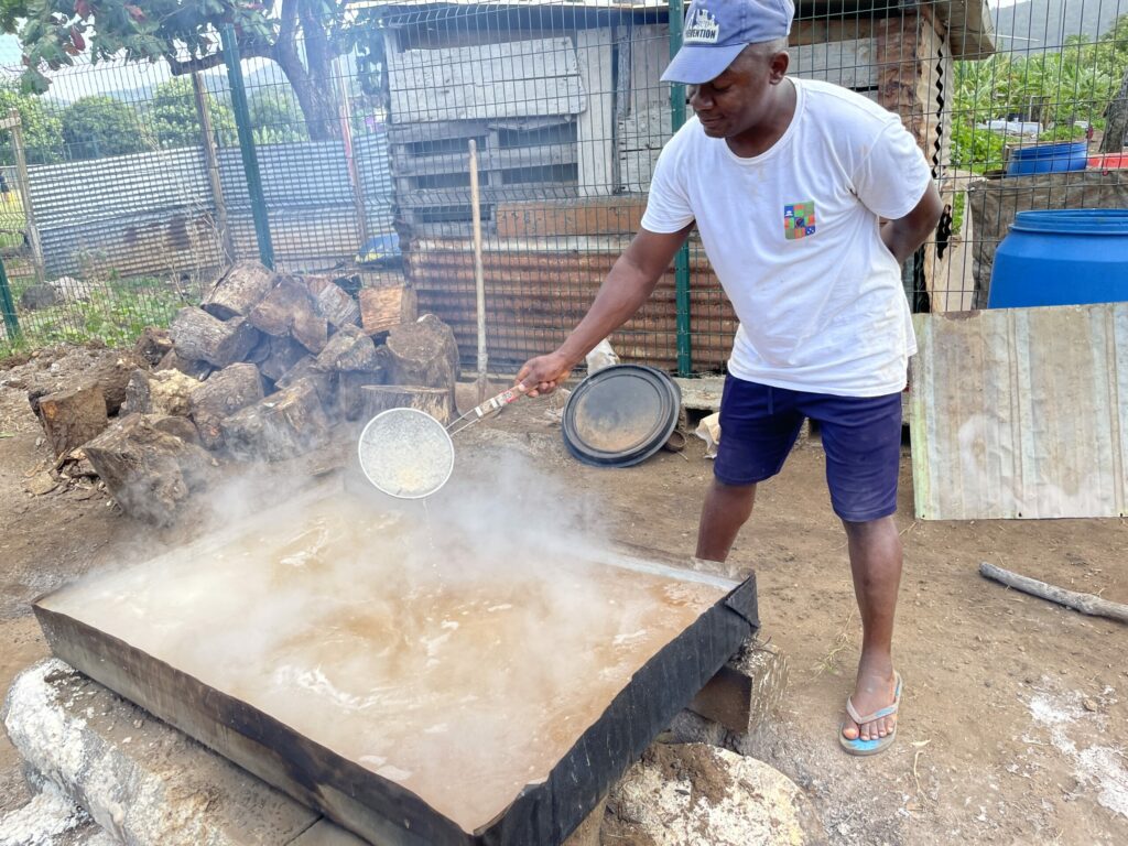 sel de bandrele IMG 8155 scaled 1