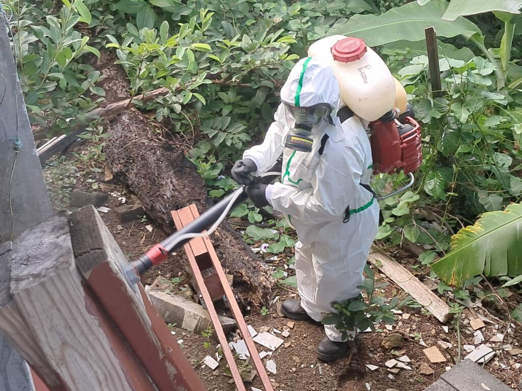 service de lutte anti vectorielle ars 3