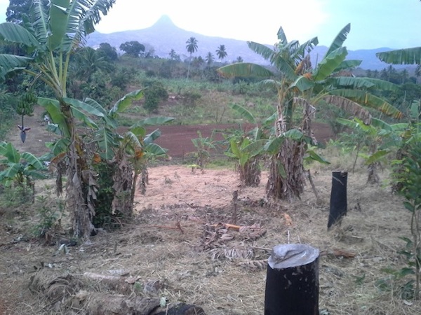 Problématique foncière : encore un propriétaire spolié (vidéo)