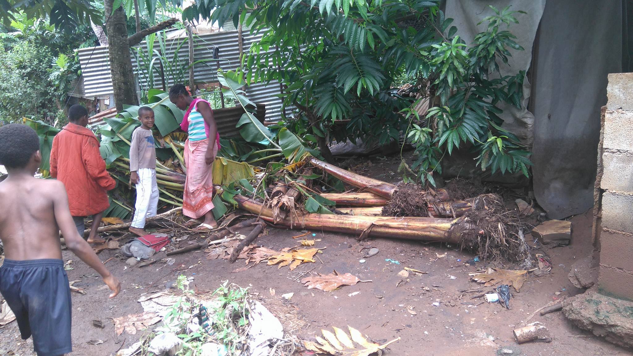 Ces fortes pluies dévastatrices de nos terrains