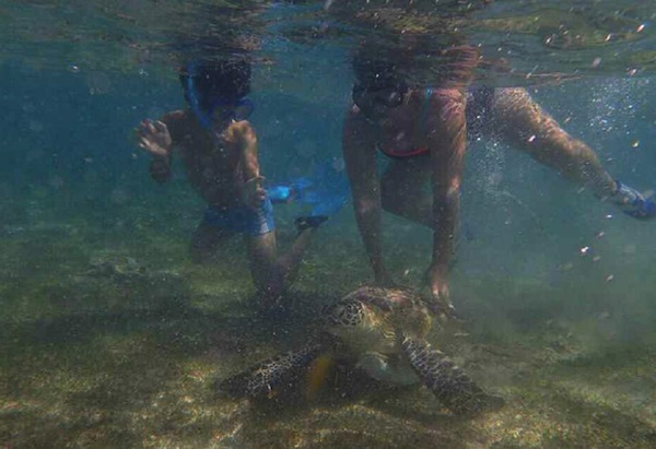 Stupides ou inconscients ?